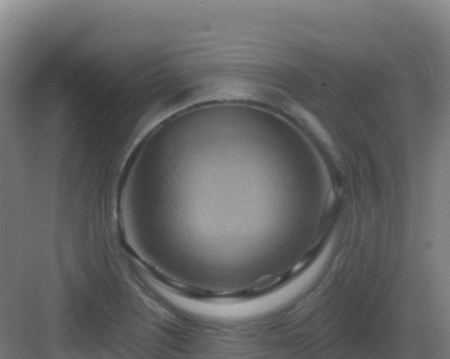 X0000083041226200702091400