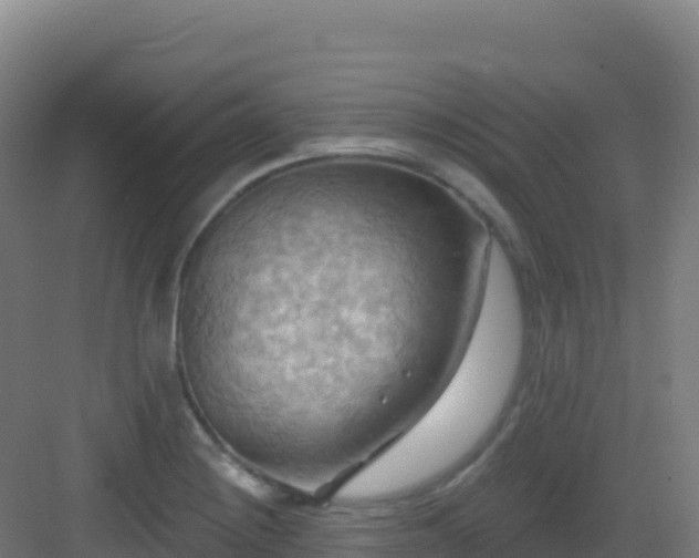 X0000083041228200702091400