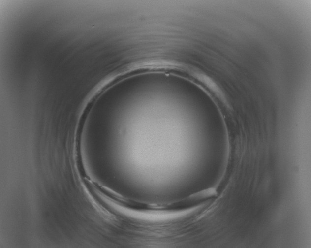 X0000083041229200702091400