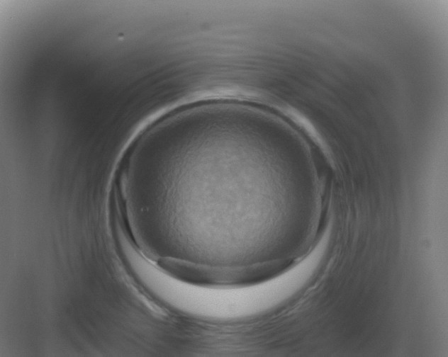 X0000083041230200702091400