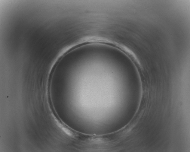 X0000083041231200702091400