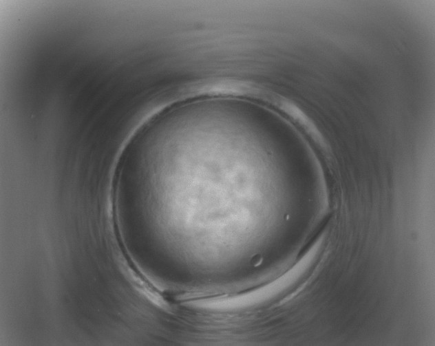 X0000083041232200702091400