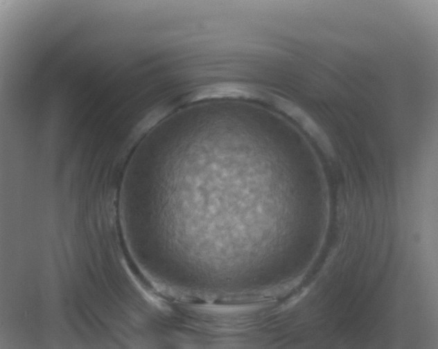 X0000083041233200702091400