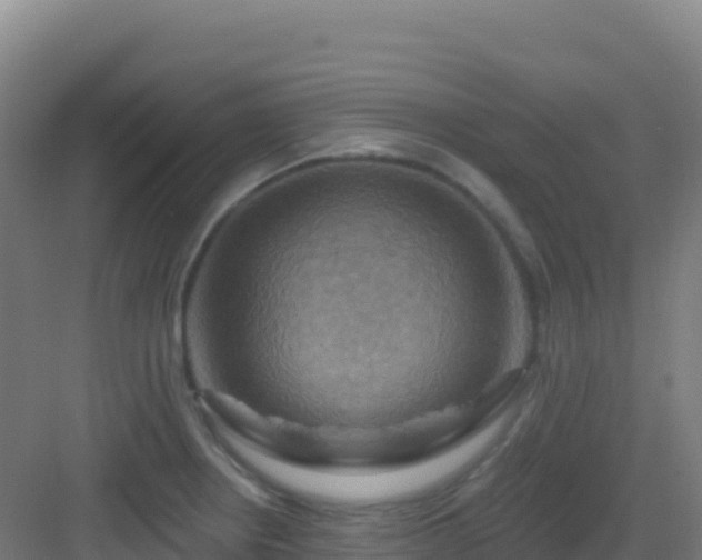 X0000083041234200702091400