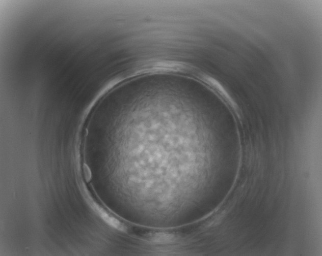 X0000083041235200702091400