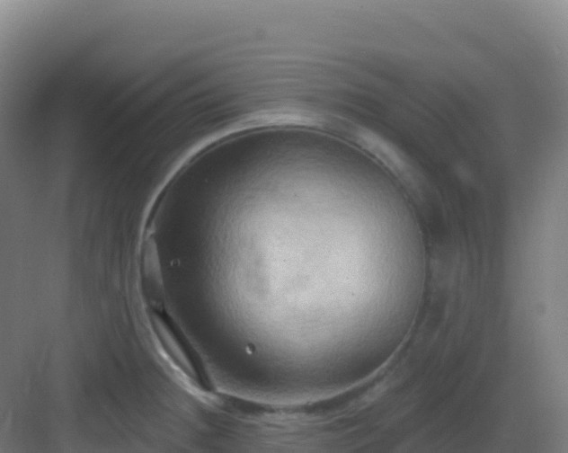 X0000083041236200702091400