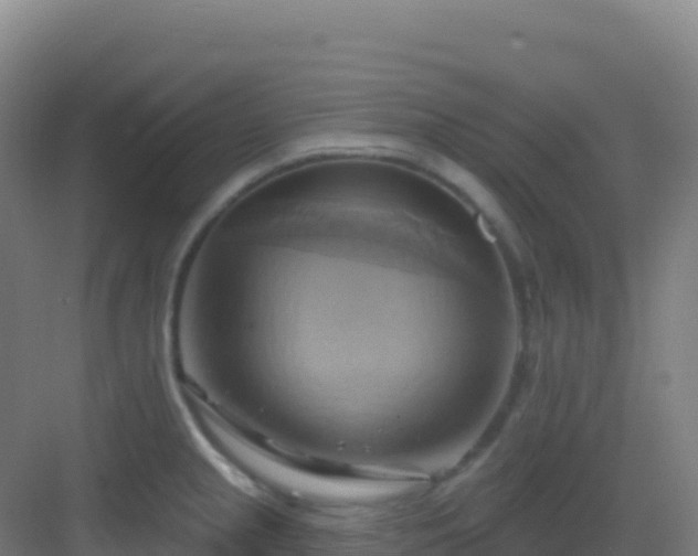 X0000083041237200702091400