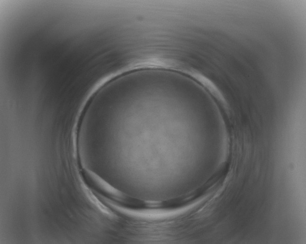 X0000083041238200702091400