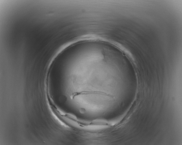 X0000083041239200702091400