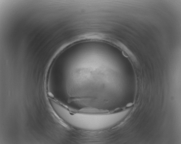 X0000083041240200702091400