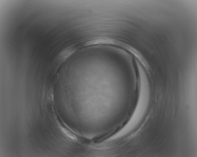 X0000083041241200702091400