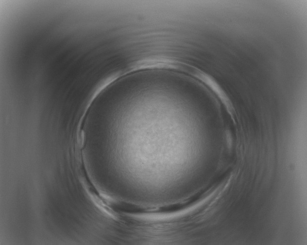 X0000083041242200702091400