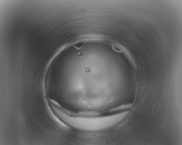 X0000083041243200702091400