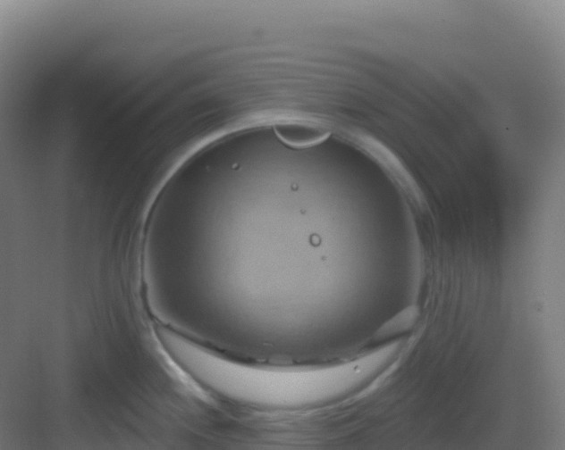 X0000083041244200702091400