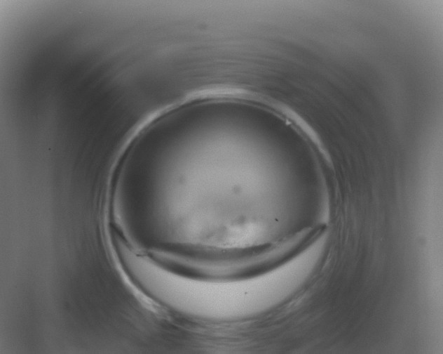 X0000083041245200702091400