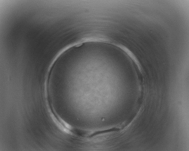 X0000083041246200702091400