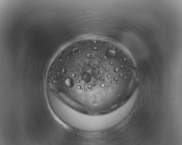 X0000083041247200702091400