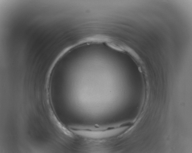 X0000083041248200702091400