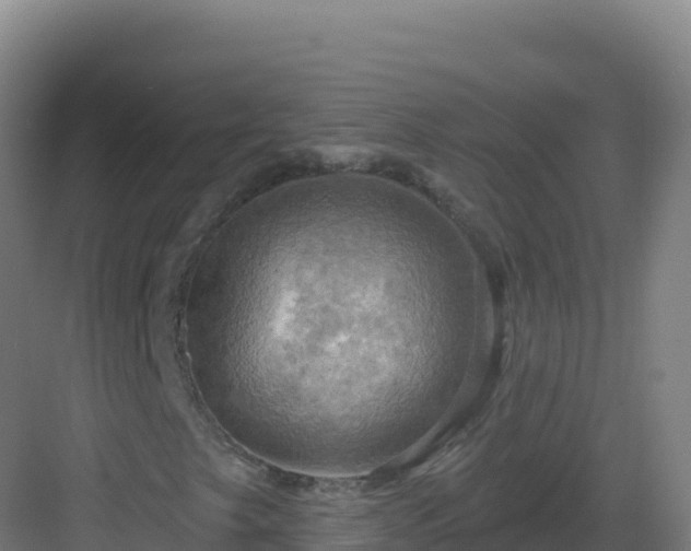 X0000083041249200702091400