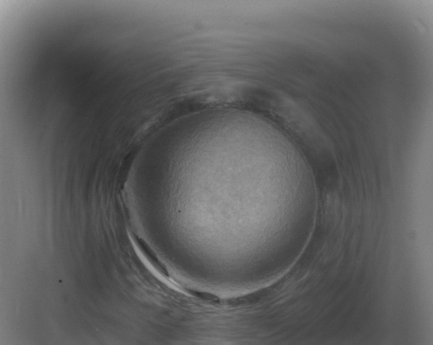 X0000083041250200702091400