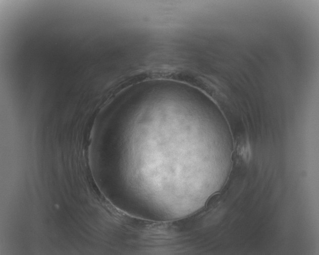 X0000083041252200702091400