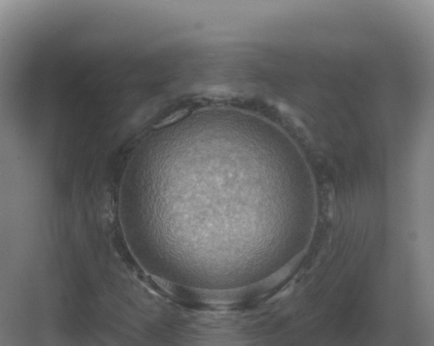 X0000083041253200702091400