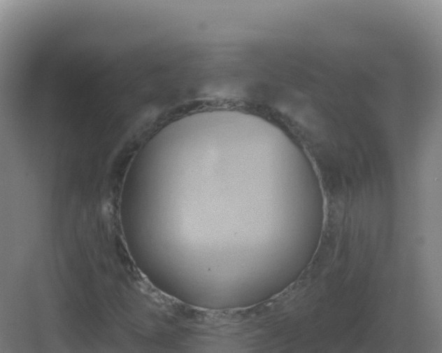 X0000083041254200702091400