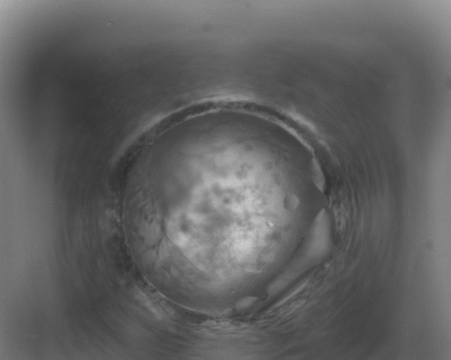 X0000083041255200702091400