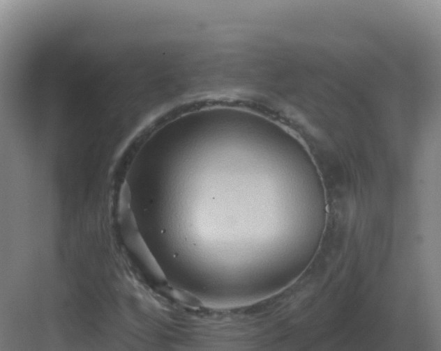 X0000083041256200702091359