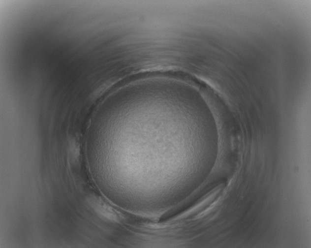 X0000083041257200702091359