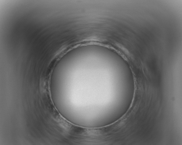 X0000083041258200702091359