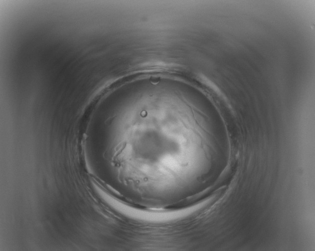 X0000083041259200702091359