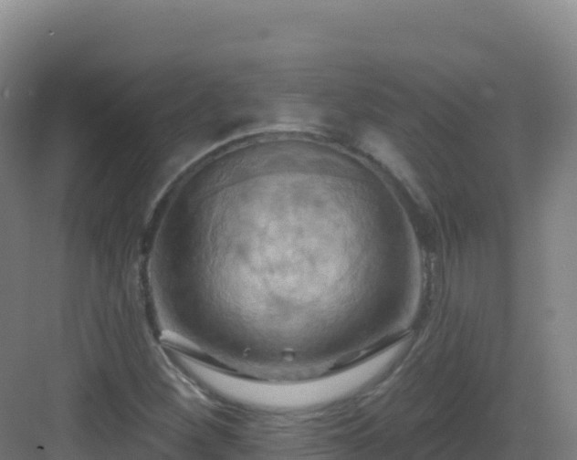 X0000083041260200702091359