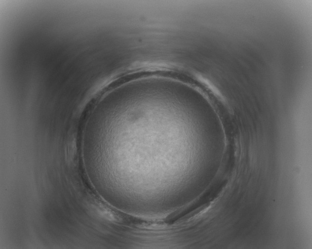 X0000083041261200702091359