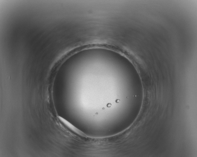 X0000083041262200702091359