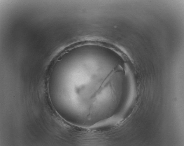 X0000083041263200702091359