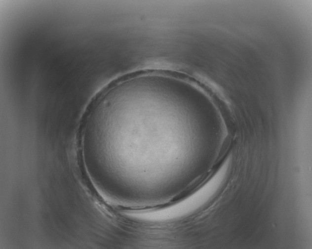 X0000083041264200702091359