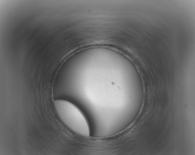 X0000083041265200702091359