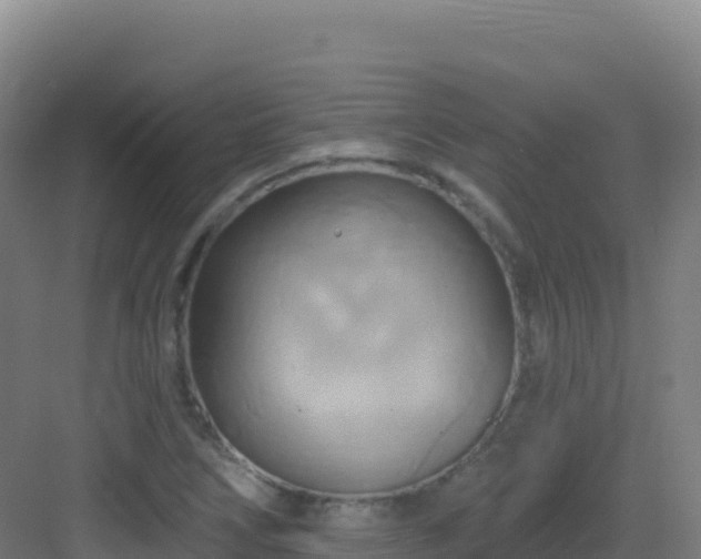 X0000083041266200702091359