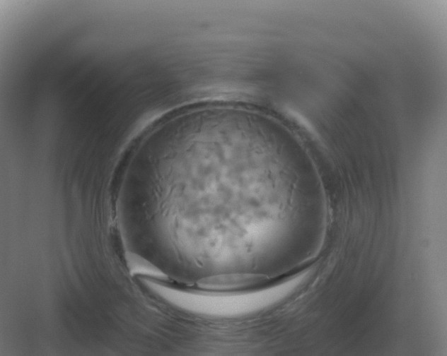 X0000083041267200702091359