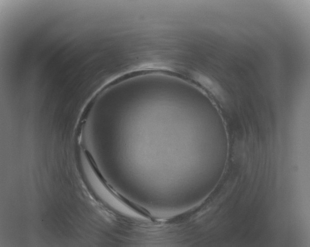 X0000083041268200702091359