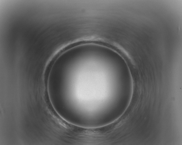 X0000083041270200702091359