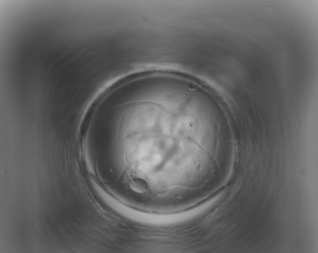 X0000083041271200702091359