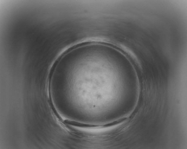 X0000083041272200702091359