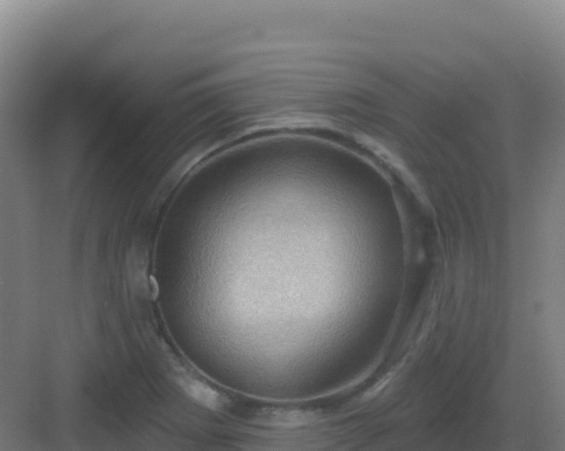 X0000083041273200702091359