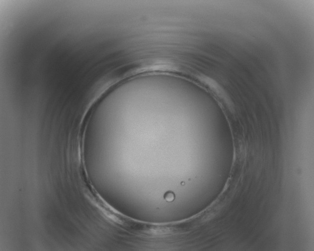 X0000083041274200702091359