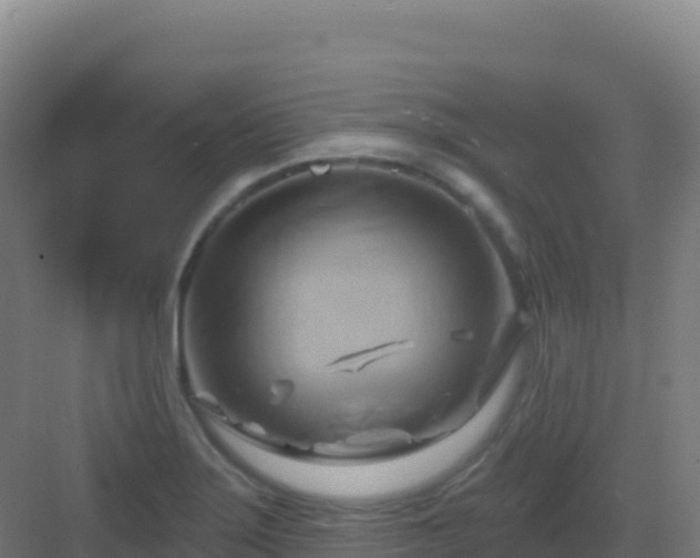 X0000083041275200702091359