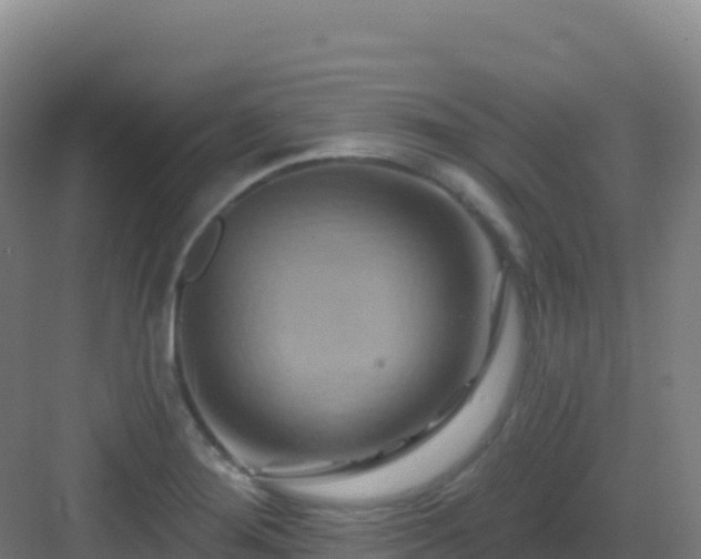 X0000083041276200702091359