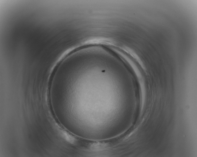 X0000083041277200702091359