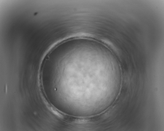 X0000083041278200702091359